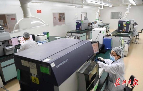 医疗器械|齐聚国内头部医药企业追赶“第一梯队” ——来自武汉大健康产业调研报告