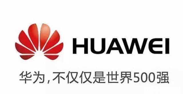 中兴|我们不止有华为中院士宣布全面“反扑”正式开始