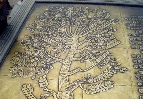 简单|中国这个姓氏实在太简单,只有三个笔画,却连博学的皇帝都不认识