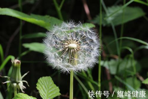 一键|肺部垃圾清理大师,一键清理肺部垃圾