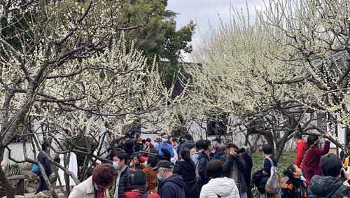 吃过年夜饭、走完亲戚，上海多座公园日游客量超过2万人次