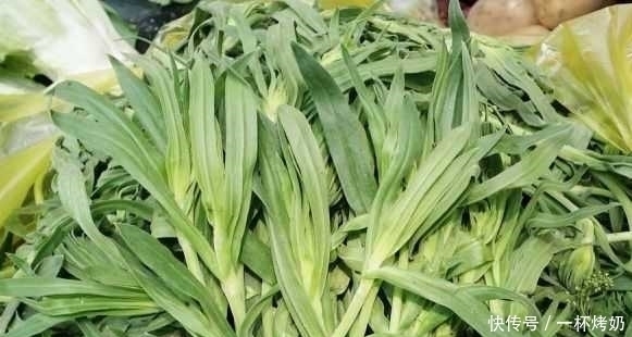 农村野菜“大全”,你认得哪几种?你吃过哪几种?