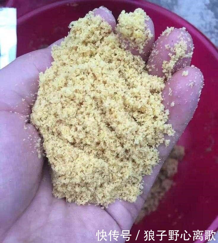 学会|学会各种鱼窝料的制作,不怕不上鱼,快来瞅瞅吧