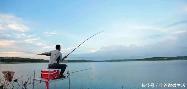 挂底|连日大雨,钓鱼会爆护吗涨水时去野钓,结果如何