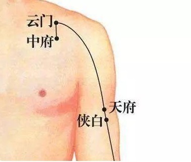 二陈汤|秋天是身体排痰最好的季节，这样做养肺排痰，清除体内陈年垃圾！