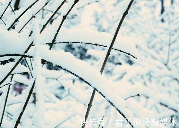 伪证#【诗歌】今夜的雪,温暖成红唇的颂词