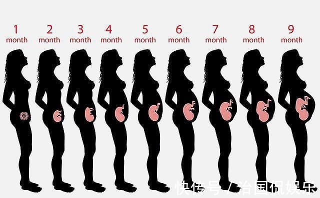 宝宝|怀孕有多辛苦五张图带你看看孕期全过程，孕妈们辛苦了