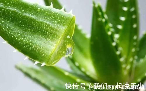 营养物质|人到中年，要学会吃三种食物，排毒润肤，延缓衰老，增强皮肤弹性