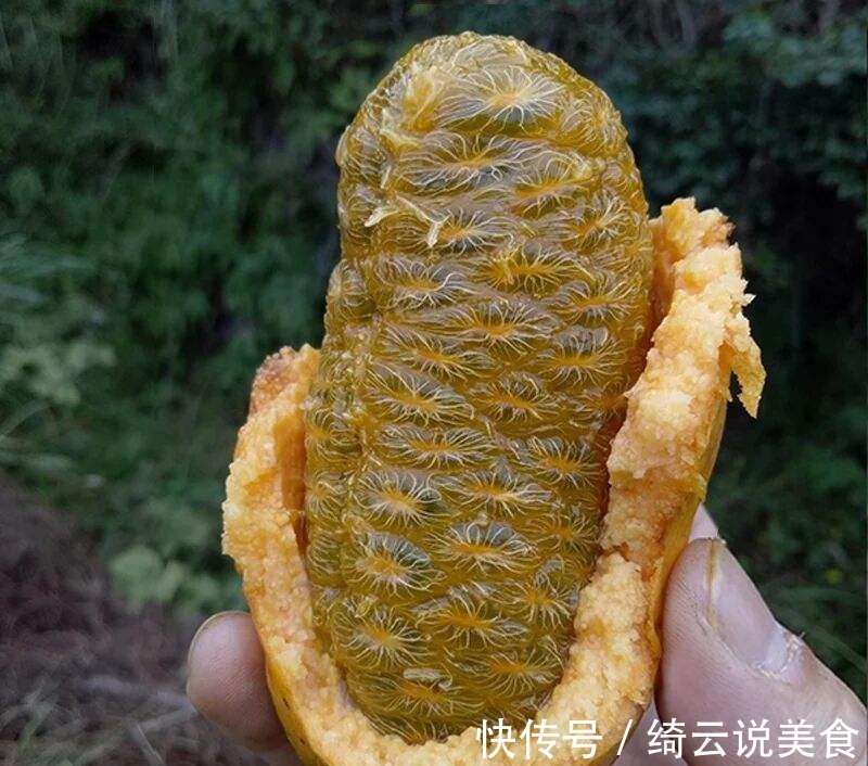 女性不想子宫早衰,多吃此果,子宫慢慢变好,远离妇科炎症