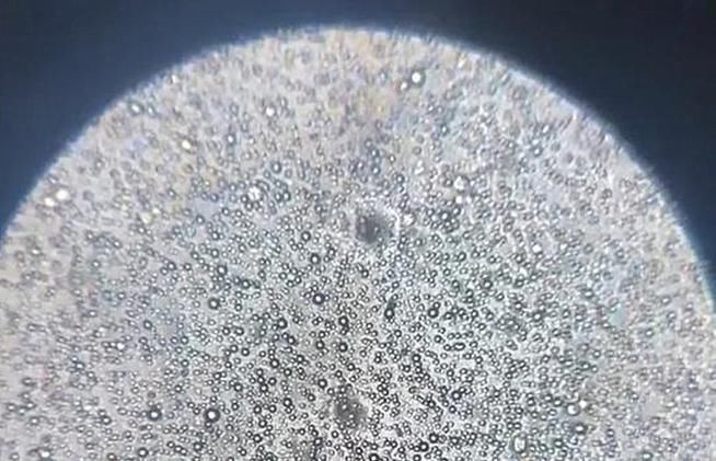 母乳|当母乳被放大1000倍,纯净得让人难以置信,太神奇了!