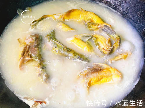 无论炖什么鱼,都不要放这2种料,放错了鱼又腥又难吃,还没营养