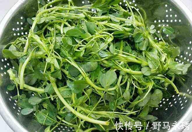 补钙|多吃4种菜, 钙含量比牛奶还高, 一分钱都不用花