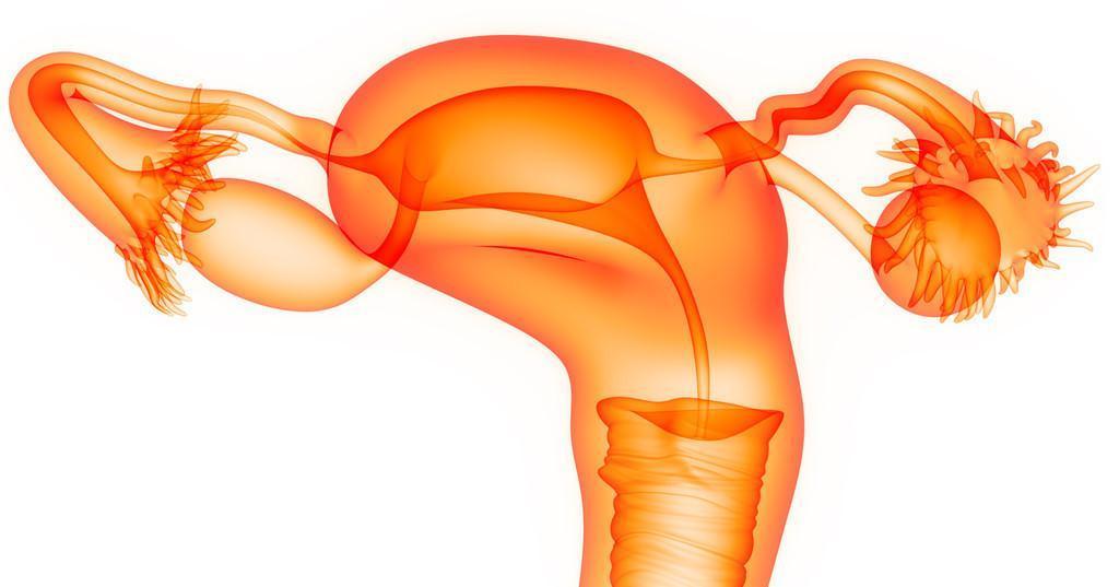 恶性|肿瘤未分化、低分化、中分化、高分化是什么意思?哪个类型最严重