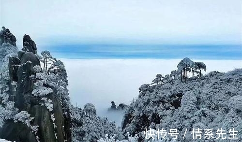 禅诗#王安石的两首禅诗,心无牵挂,更彰显了隐居生活的洒脱和从容