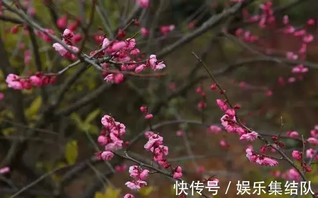 一篇读懂（生当作人杰死亦为鬼雄的意思）生当作人杰死亦为鬼雄是什么意思? 第4张