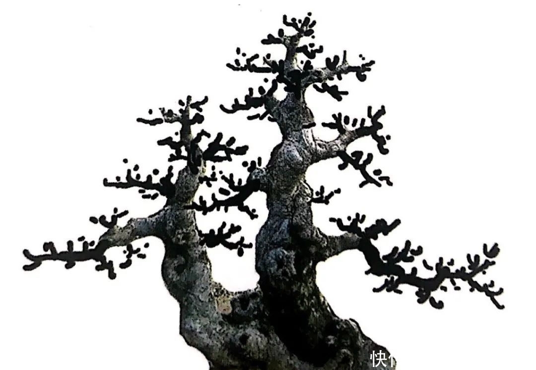 树桩造型是保留双干、三干还是多干,还得树桩自己说了算!