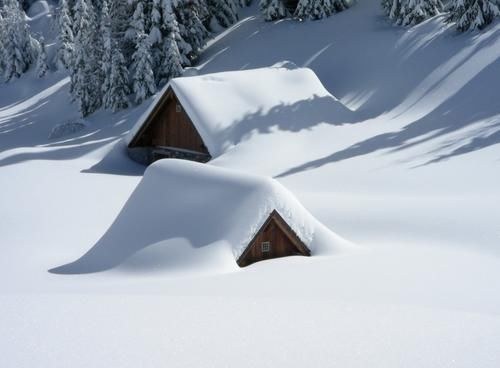  大雪|冬天进补，开春打虎：大雪养生4款家常菜，烹调简单营养又滋补