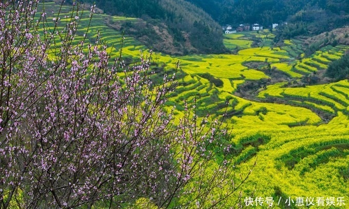 2021年婺源油菜花时间预告，万亩花海“精彩”待上线！