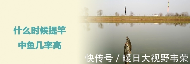 长竿|钓鱼,什么时候提竿中鱼率高?(强烈推荐)