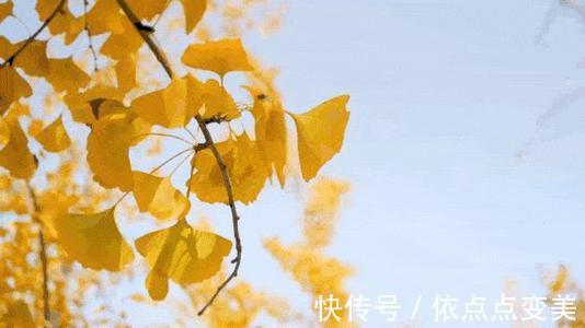 皮肤干燥 【新依美护肤】不同季节的换季对皮肤的影响