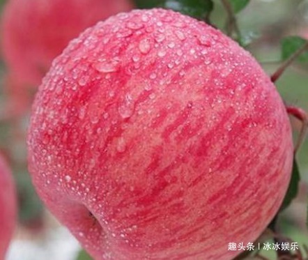 好处|吃苹果好处多多,什么时间吃最好很多人吃错,难怪没营养