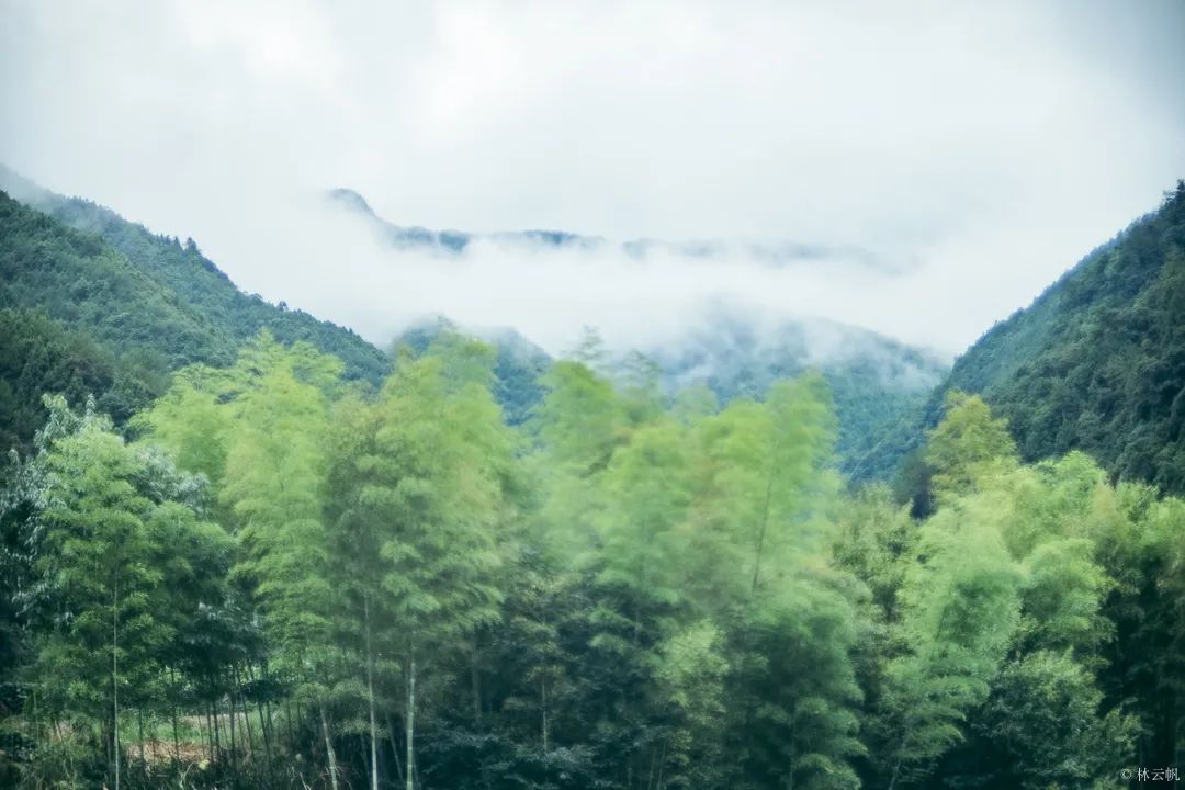 居所|太拉風(fēng)了！螞蟻探路帶領(lǐng)房車露營真人秀節(jié)目慶元拍攝圓滿殺青