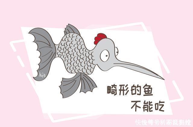 畸形|吃鱼对胎儿好但这几种会影响胎儿智力的鱼,孕妇尽量要少吃