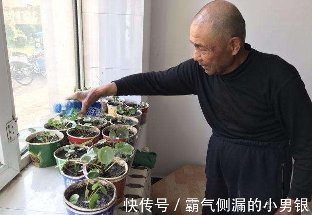 老人在方便面盒子里种花草, 每年能卖出一两百盆!