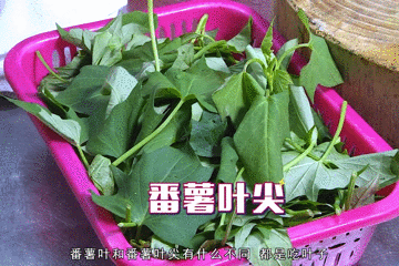 健康|美食|几分钟一道农家菜,简单美味又健康!