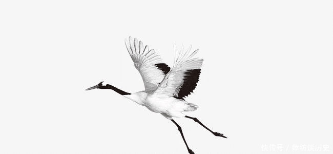 成语|成语“爱鹤失众”是什么意思,有什么典故?