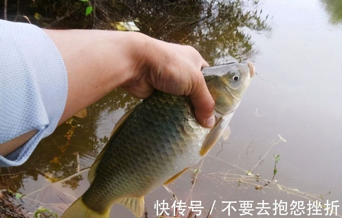 “人有路,鱼有道”,这3种地方别错过,堪称鱼儿必经之路