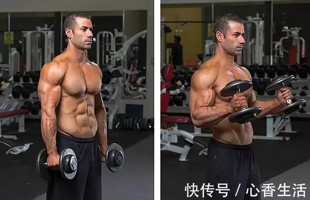 二头肌|我们肱二头肌围度迟迟不能突破?你可能忽略了这些!