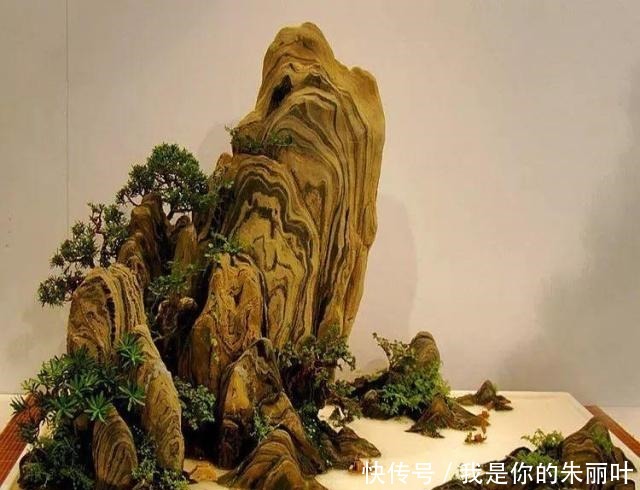 养花|大爷用石头、盘子来养花,布局造景,这就是山水盆景的魅力!