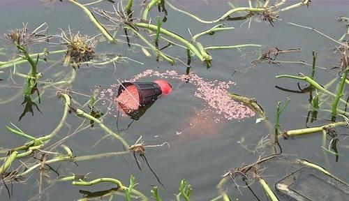 冬季钓鱼的诱鱼之道，用这几种方法，能把远处的鱼群“请”进窝