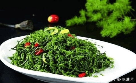 此菜被誉为“山野菜之王”，每天来几口，三高降了，给肠道洗个澡