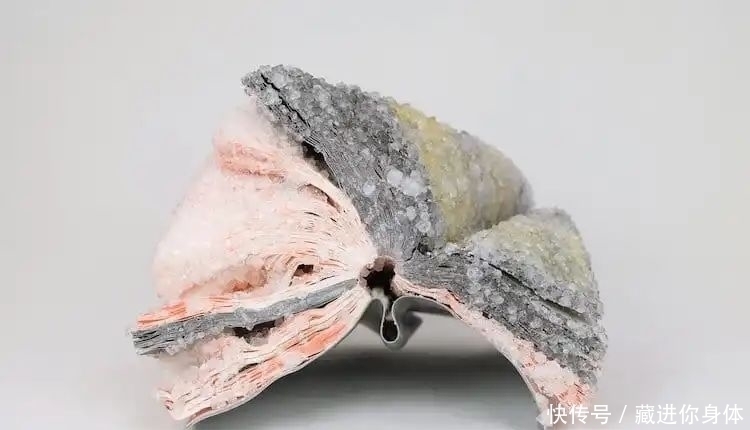 书本&她创作雕塑时“开挂”了:把书丢进水里,等2天作品就完成了