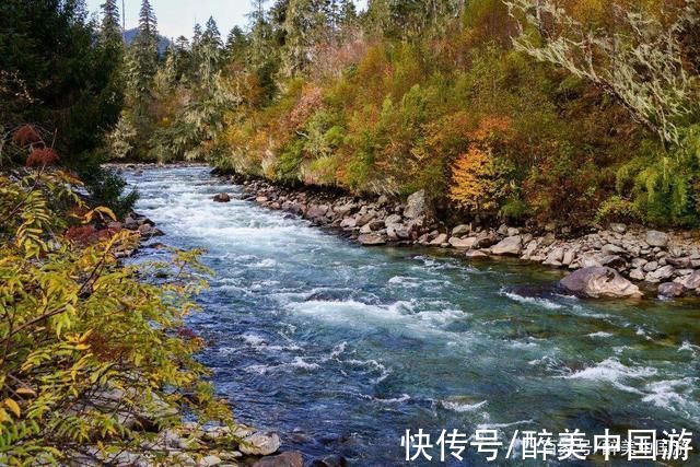 原始森林|探访天边牧场南伊沟，奇树林立，雪山环绕，风景优美