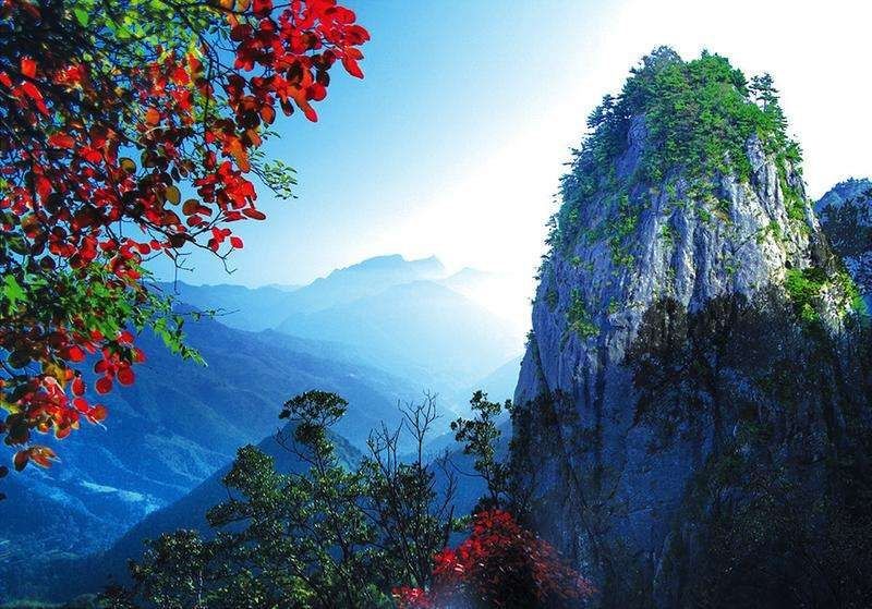 陕西天竺山国家森林公园、镇安木王山森林公园恢复开园公告