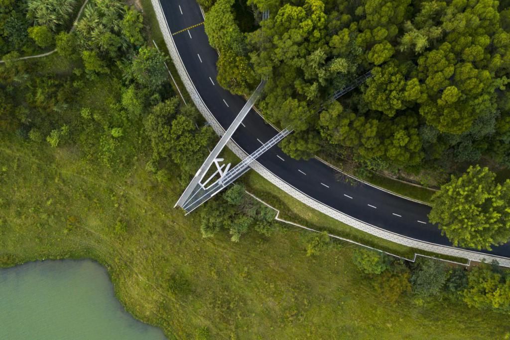 登云湖|相逢登云湖,看见越来越好的阳光城