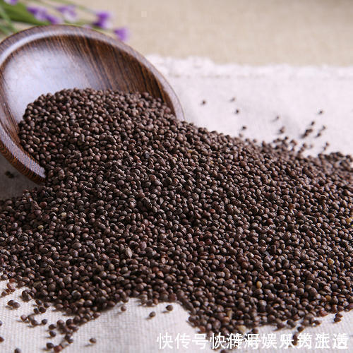 三子养亲汤|一个非常强大的方子，只需3味药，把痰湿彻底根除，神清气爽