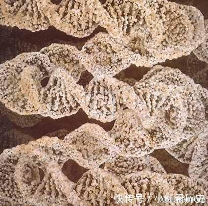 把我们的皮肤放大一亿倍,最后“超乎想象”