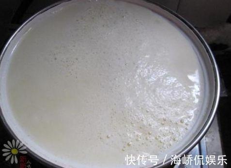 豆浆|一把黄豆一碗水，教你自己在家做豆腐，现吃现做更放心