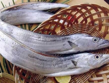 营养物质|冬天吃鱼,专挑4种鱼,应季而食营养高味道好,买的都是聪明人!