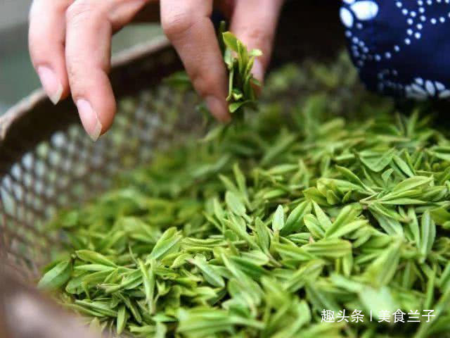 山楂|天然“抗癌药”找到了,没事多吃点,癌细胞或将“消失无踪”!