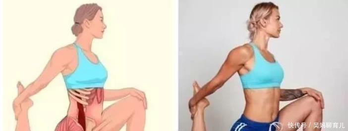 腘绳肌|全身拉筋3D图解,一步到位,在家也能强身健体