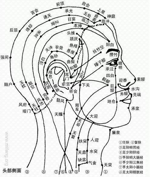  头痛辩证取穴