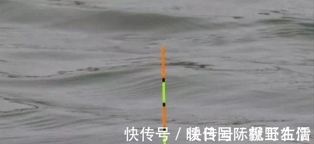 野钓|野钓鲫鱼，别人连杆不断你却不上鱼，有可能是这三个原因导致的