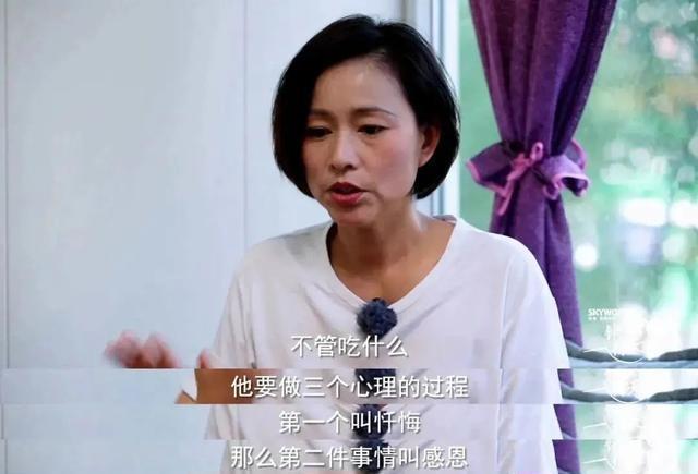 经历停播下架，它一回归就是豆瓣9.5