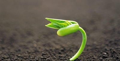  深思|一位肿瘤医生对家人患癌去世的8点感悟，值得所有人深思！