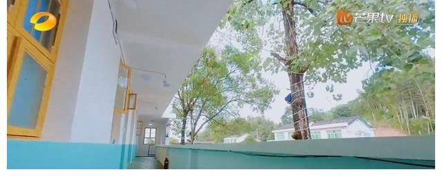 乡村振兴：汪涵、沈梦辰、杨迪的云上的小店，第一期都推荐了什么